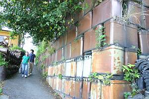 ���Ԉ�Y-�C����