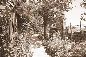 ���Ԉ�Y-�Z�C�\�̍�