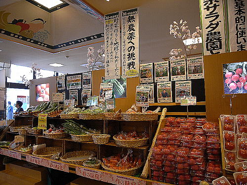 �S���s��@�l-easy�@�n�Y�n��